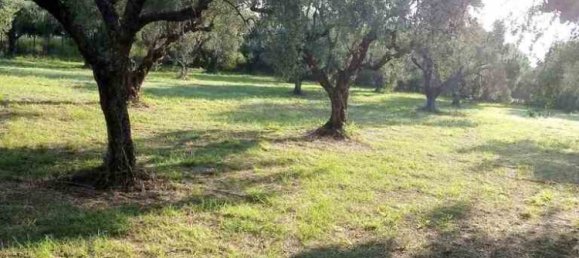 3 bedrooms Commercial property in Aetolia-Acarnania, Greece No. 2064 18