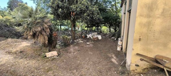 18 rooms Villa in Florence, Italy No. 207885 23