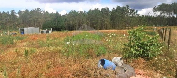 7 Schlafzimmer Haus in Pombal, Portugal, Nr. 152702 17
