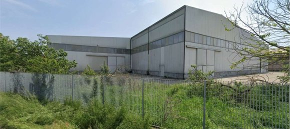 4937m² Warehouse in Terranova dei Passerini, Italy No. 5049 5
