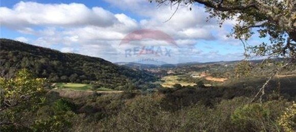 18300m² Land in Loule, Portugal No. 39323 4