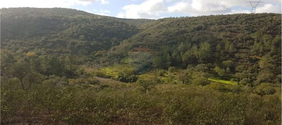 18300m² Land in Loule, Portugal No. 39323 3