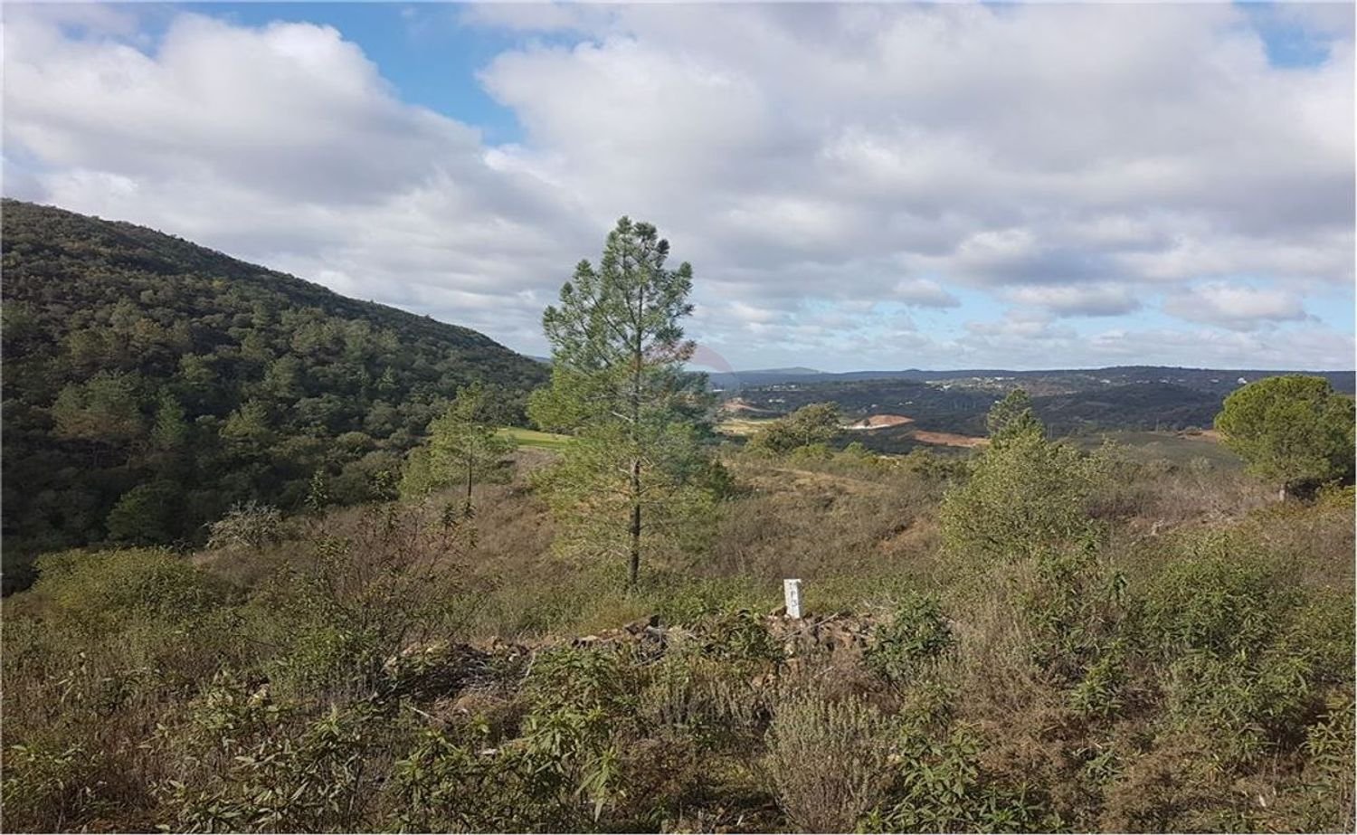 18300m² Land in Loule, Portugal No. 39323