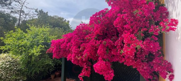 8 bedrooms House in Foz do Arelho, Portugal No. 136819 38