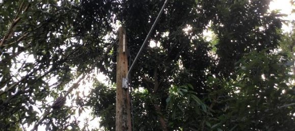 Gewerbliche Immobilie in Khok Kloi, Thailand 6228m², Nr. 8056 2