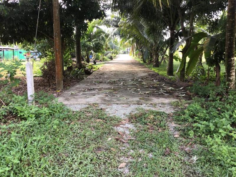 Gewerbliche Immobilie in Khok Kloi, Thailand 6228m², Nr. 8056