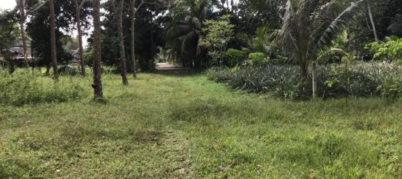 Gewerbliche Immobilie in Khok Kloi, Thailand 6228m², Nr. 8056 3