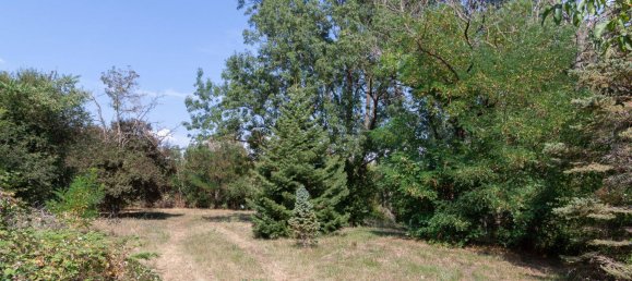 11237m² Land in Nickelsdorf, Austria No. 15156 9