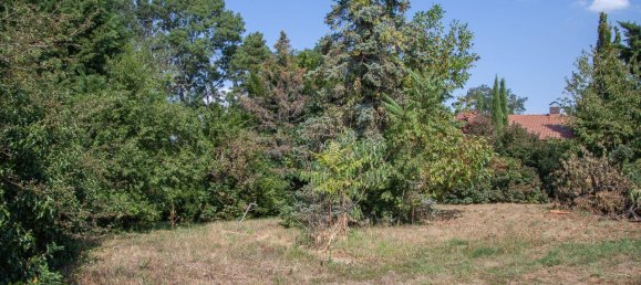 11237m² Land in Nickelsdorf, Austria No. 15156 6