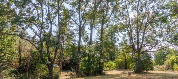 11237m² Land in Nickelsdorf, Austria No. 15156 13