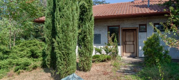 11237m² Land in Nickelsdorf, Austria No. 15156 8