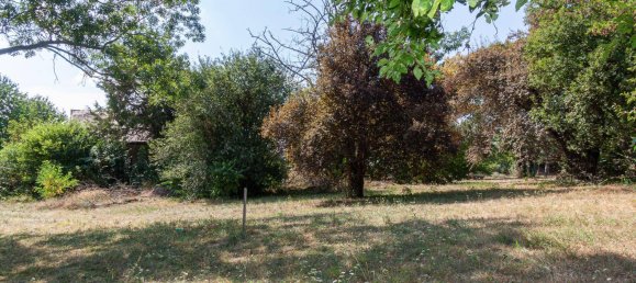 11237m² Land in Nickelsdorf, Austria No. 15156 14