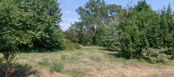 11237m² Land in Nickelsdorf, Austria No. 15156 5