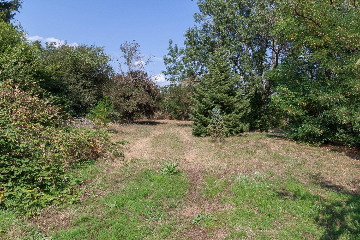 11237m² Land in Nickelsdorf, Austria No. 15156