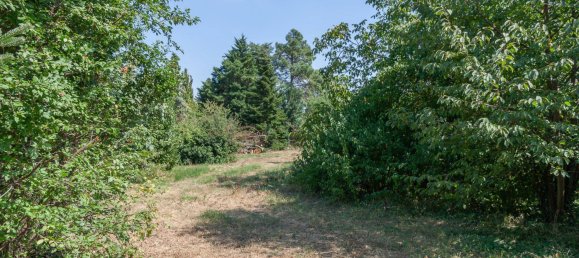 11237m² Land in Nickelsdorf, Austria No. 15156 4