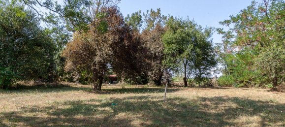 11237m² Land in Nickelsdorf, Austria No. 15156 11