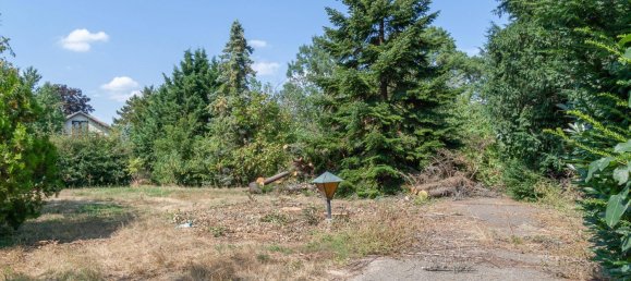 11237m² Land in Nickelsdorf, Austria No. 15156 7