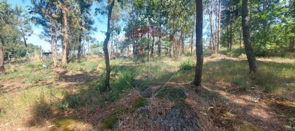 Casa T1 em Lousada, Portugal N.º 16354 2