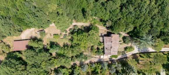 2 Schlafzimmer Haus in Radda in Chianti, Italy, Nr. 54619 7