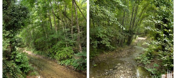 2 Schlafzimmer Haus in Radda in Chianti, Italy, Nr. 54619 35