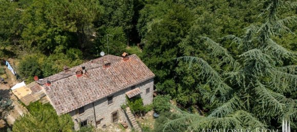 2 Schlafzimmer Haus in Radda in Chianti, Italy, Nr. 54619 8