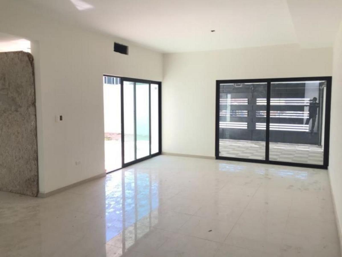 3 chambres Maison à Playa Vicente, Mexico No. 146382