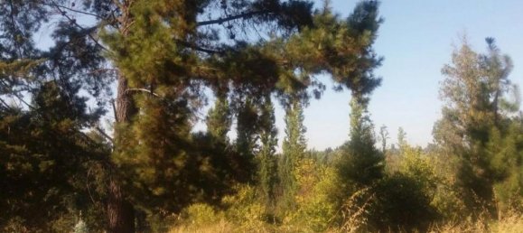  Land in Maule, Chile No. 906 2
