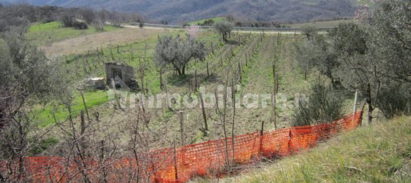 3 غرف نوم منزل في Agnone, Italy رقم 342572 23