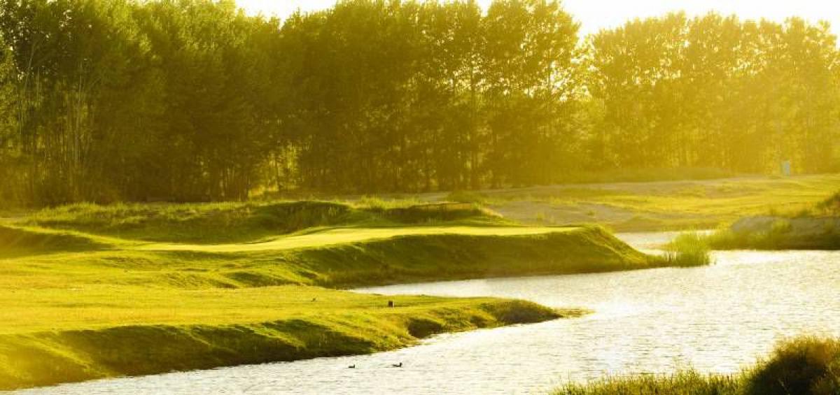 Grundstück in Neuquen, Argentina, Nr. 45482