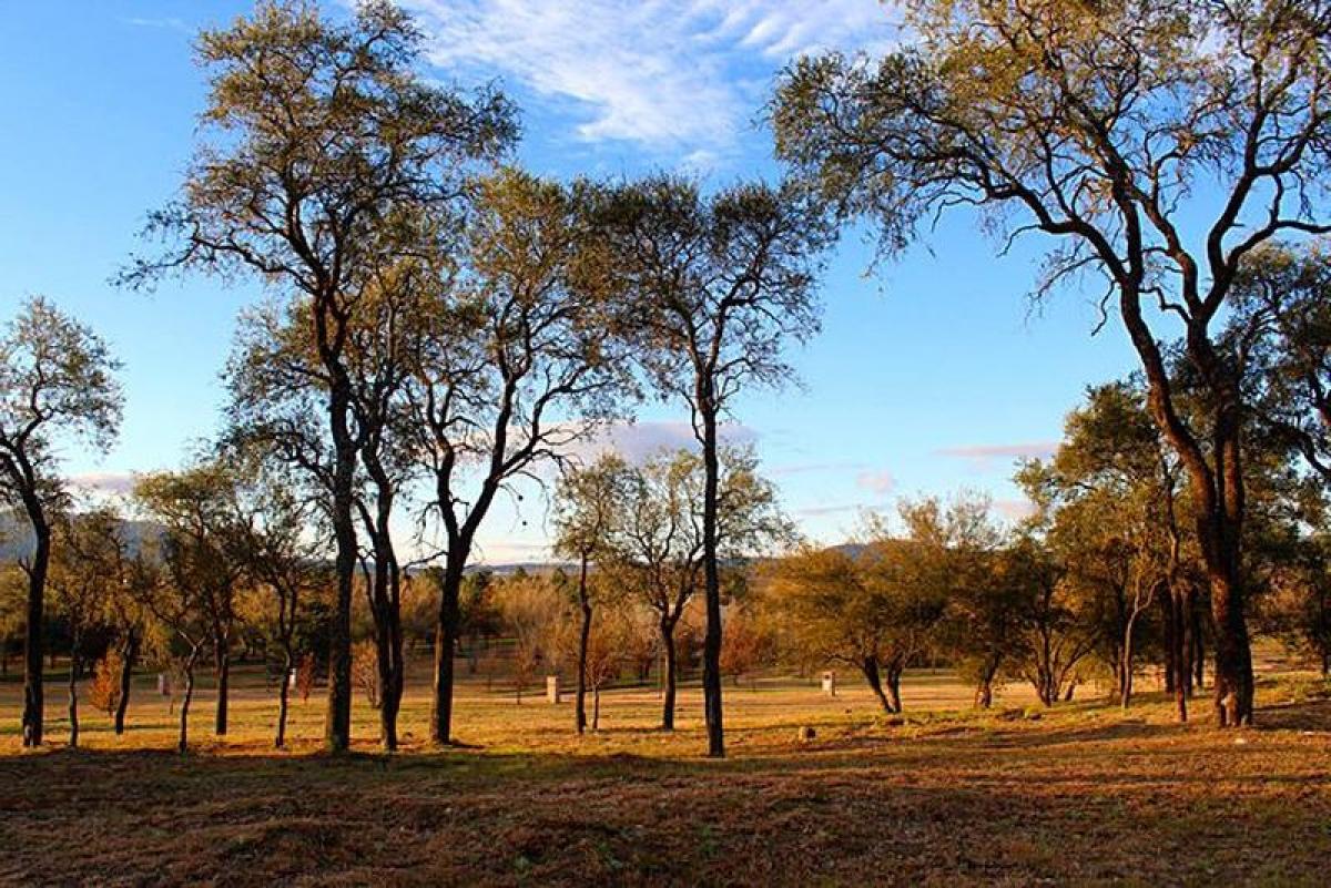  Land in Cordoba, Argentina No. 48492