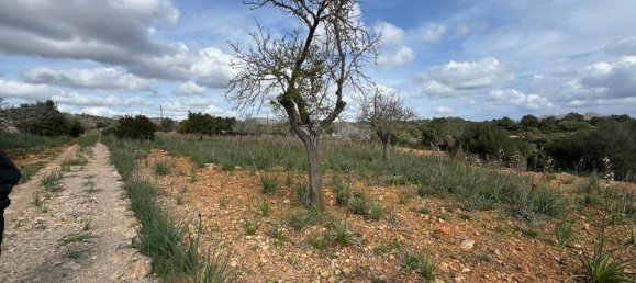 Terreno em Algaida, Spain N.º 16217 9