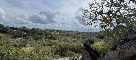 Terreno em Algaida, Spain N.º 16217 7