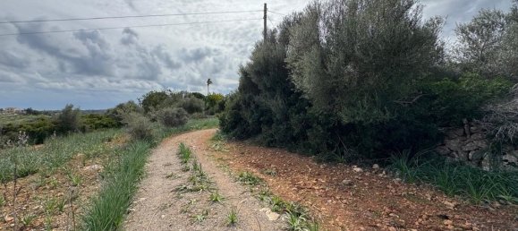 Terreno em Algaida, Spain N.º 16217 10