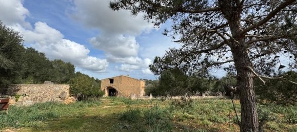 Terreno em Algaida, Spain N.º 16217 2