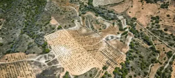  Land in Murcia, Spain No. 135310 6