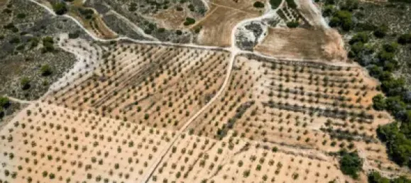  Land in Murcia, Spain No. 135310 2