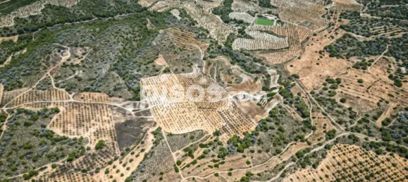  Land in Murcia, Spain No. 135310 4