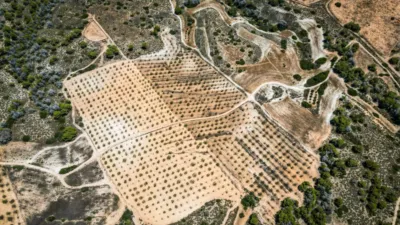  Land in Murcia, Spain No. 135310