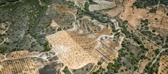  Land in Murcia, Spain No. 135310 5