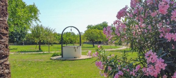 8 غرف نوم منزل في Binissalem, Spain رقم 176896 14