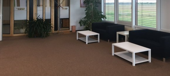 2436m² Warehouse in Markisch-Oderland, Germany No. 79544 7