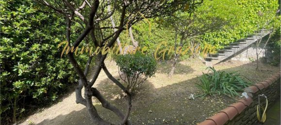 10 rooms Villa in Vallecrosia, Italy No. 193346 19