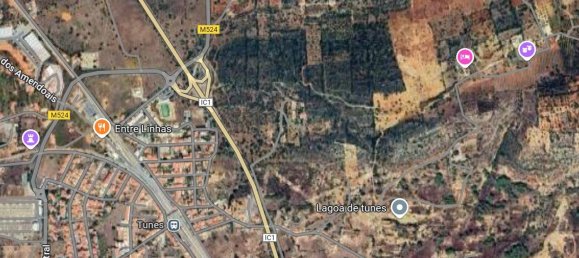 Grundstück in Silves, Portugal 44400m², Nr. 50223 5