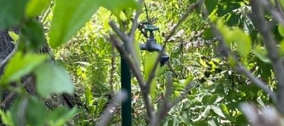 543m² Land in Vienna, Austria No. 31521 15