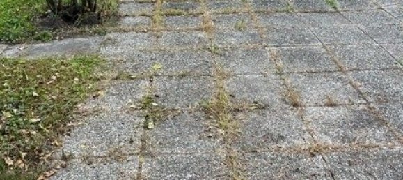 543m² Land in Vienna, Austria No. 31521 6