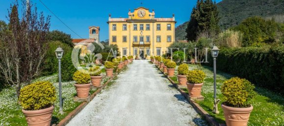 9 bedrooms Villa in San Giuliano Terme, Italy No. 205795 6