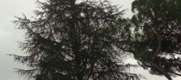 2 rooms Apartment in Rome, Italy No. 41057 10