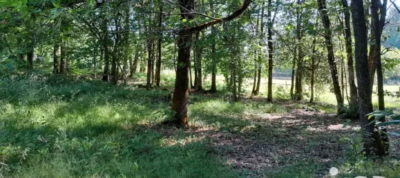 Дом с 3 спальнями в Дордонь, Франция № 323730 6