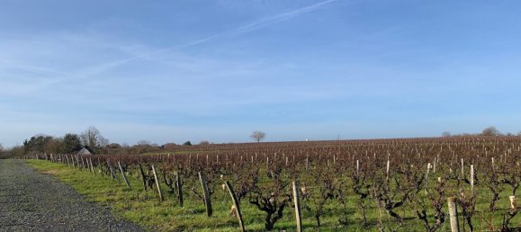 2 chambres Maison à Vernou-sur-Brenne, France No. 39571 4