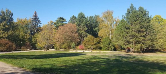 1 bedroom Apartment in Zwickau, Germany No. 221107 24